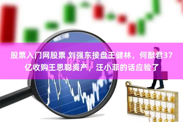 股票入门网股票 刘强东接盘王健林，何猷君37亿收购王思聪资产，汪小菲的话应验了